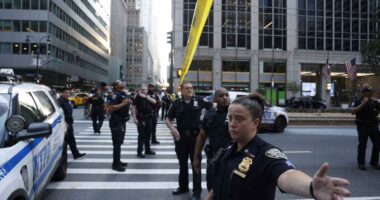 Could new laws protect office workers from violent incidents like the Midtown Manhattan shooting?