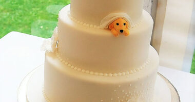 Couples Found A Way To Include Their Dogs Into Their Wedding And It’s Absolutely Pawsome