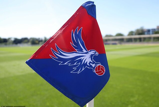 Crystal Palace have submitted an appeal to the Court of Arbitration for Sport (CAS) over their demotion from the Europa League