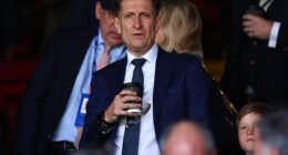 Steve Parish has spoken out on Crystal Palace being kicked out of the Europa League