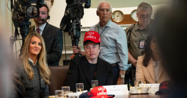 DOGE Dividend Guru and Trump Ally Forms PAC to Counter Musk.