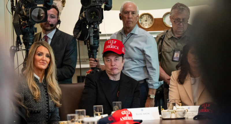 DOGE Dividend Guru and Trump Ally Forms PAC to Counter Musk.