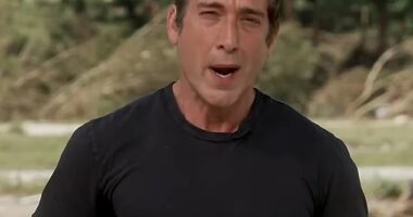 David Muir has lost to NBC Nightly News' Tom Llamas in the 25-54 demo for the first time - an embarrassing blow in an emerging battle for younger viewers