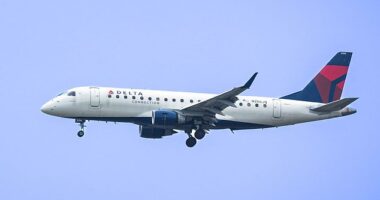 A Delta pilot pulled off an 'aggressive maneuver' to narrowly avoid a collision with a military bomber, preventing what could have been a catastrophic mid-air disaster over North Dakota on Friday night (stock)