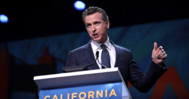 Dem States Want Americans To Fund English Classes For Illegals
