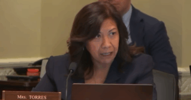 Democrats Resist Clean Voter Rolls In Congressional Hearing