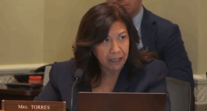 Democrats Resist Clean Voter Rolls In Congressional Hearing