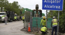 Dems Visit Alligator Alcatraz, Witness Alternate Reality From What GOP Saw – RedState