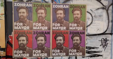 Mamdani poster