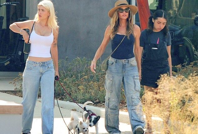 Denise Richards, 54, was seen for the first time since her estranged husband Aaron Phypers accused her of having an affair amid their divorce, as she stepped out with her daughters