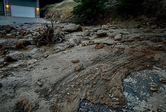 A hillside water meter malfunction triggered a destructive mudslide, sending tons of mud and debris crashing into homes in one of Utah 's most upscale neighborhoods