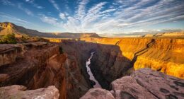 Researchers have uncovered fossils buried deep in 500 million old rocks in canyon walls