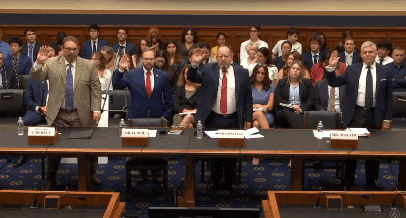 'Disturbing' Leftist Projects Your Tax Dollars Funded: Hearing