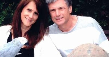 American Idol music supervisor Robin Kaye and her husband Thomas DeLuca wanted to install upgraded security - including a panic room - before they were murdered in their Los Angeles mansion