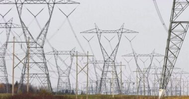 DoE Cancels Another POTATUS Last Minute Big Buck High Wire Act – HotAir