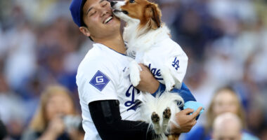 Dodgers Star Shohei Ohtani, His Dog Make Heartwearming Announcement
