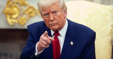 Trump's 12-year-old social media post undercut his own argument on Sunday