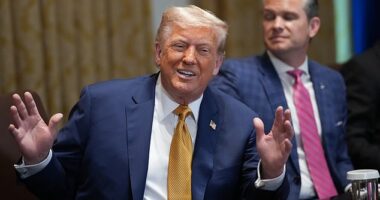 President Donald Trump has confirmed that he will attend the final of FIFA's Club World Cup