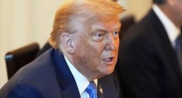 Donald Trump will reportedly attend Sunday's FIFA Club World Cup Final at MetLife Stadium