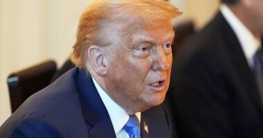 Donald Trump will reportedly attend Sunday's FIFA Club World Cup Final at MetLife Stadium