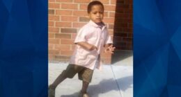 Drunk Michigan Driver Plows Into Family Leaving Festival, Killing 3-Year-Old & Injuring Twin Sister: Police