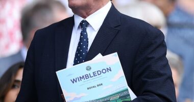 A punk rock icon of the 1980s looked unrecognisable as he stepped out for a day at Wimbledon on Thursday