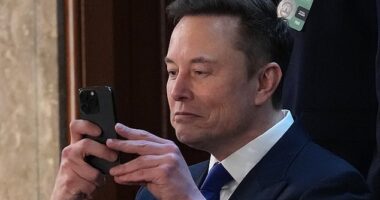 Elon Musk announced Thursday that X will be bringing back Vine, which launched in 2013