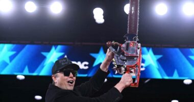 Elon Musk takes us for fools as he renews his verbal assault on Trump