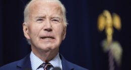 Essex Files: Joe Biden Says the World Is Calling