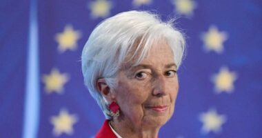 European Central Bank likely to put rate cuts on pause amid trade uncertainty
