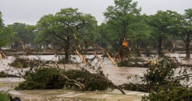 Everything we know about Texas flooding victims: Girl ‘living her best life’ at camp and man who saved his family