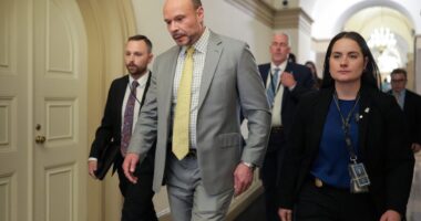 FBI deputy chief Dan Bongino MIA from work after clash over Epstein files with AG Pam Bondi: report