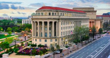 FTC Investigates Deception Behind 'Transgender' Interventions