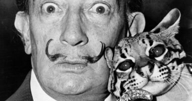 Famous Artists Photographed With Their Cats