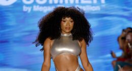 Sis, That's You? Megan Thee Stallion Fans Debate Whether Mystery Man In Spicy New Photos Could Be Klay Thompson