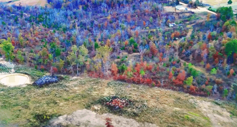 Far-right group establishes ‘whites-only’ community with 40 residents