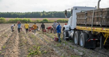 Farm Exceptions Would Create New Immigration Fraud Highway