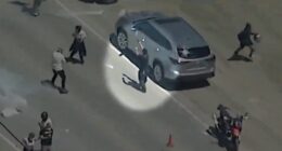 Feds Offer $50k Reward After Man Opens Fire on ICE Agents During Raid.