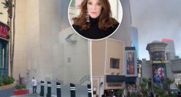 Fire breaks out at site of Lisa Vanderpump's future Las Vegas hotel