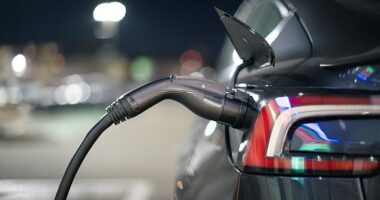 The Government has reintroduced grants to slash the price of some new electric cars as part of its efforts to accelerate sales before the end of the decade