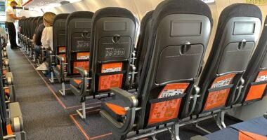 A plane passenger shared a hilarious video of an EasyJet crew member taking passengers through a series of movements in their seat, dubbing it 'air-aerobics' (stock image)