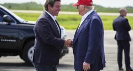 Florida Democrats Double Down With Lawsuit on Alligator Alcatraz; DeSantis Rep Responds – RedState