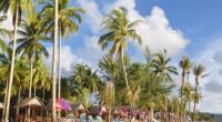 The new warnings come as sun seekers prepare for their holidays and flock to Thailand in search of sandy beaches and cheap drinks (stock image)