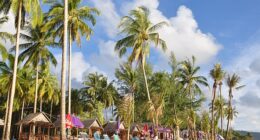 The new warnings come as sun seekers prepare for their holidays and flock to Thailand in search of sandy beaches and cheap drinks (stock image)