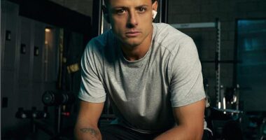 Javier Hernandez has apologised for 'any confusion or upset' after his sexist comments