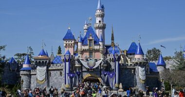 An enraged Disneyland (seen) guest has claimed he wasn't served alcohol at an iconic Star Wars bar despite showing his driver's license
