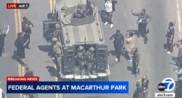 Furor Over MacArthur Park Illustrates Left's Departure From Reality