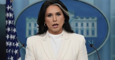 Gabbard Hits Back at Critics Attempting to Claim 'Nothing to See Here' With Russia Collusion Hoax Docs – RedState