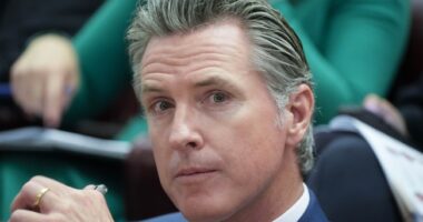 Gavin Newsom Steps on a Rake After ICE-Related Announcement From California Bishop – RedState