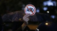 German Social Democrat Party Scrambling to Get AfD Banned – HotAir